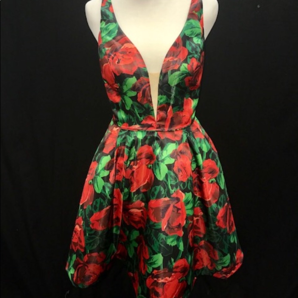 Sherri Hill Homecoming Dress